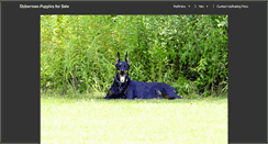 Desktop Screenshot of dobermanpuppies4sale.com